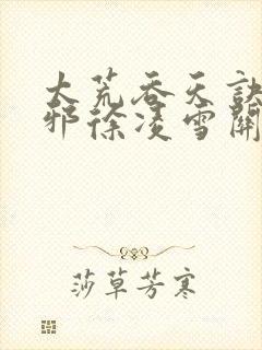 太荒吞天诀柳无邪徐凌雪关系封面