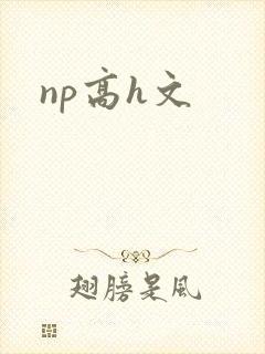 np高h文封面