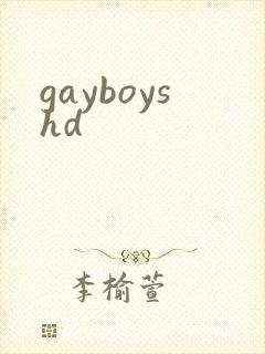 gayboyshd封面
