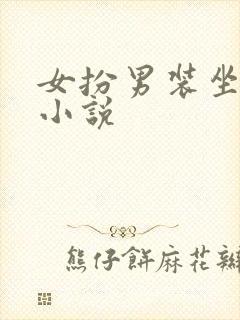 女扮男装坐江山小说封面