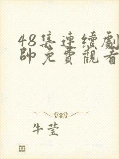 48集连续剧少帅免费观看