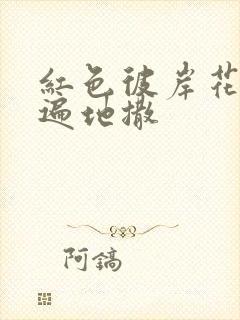 红色彼岸花花瓣遍地撒