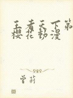 王者天下第一季樱花动漫