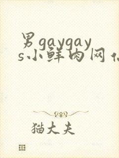 男gaygays小鲜肉网站