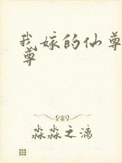 我嫁的仙尊成魔尊