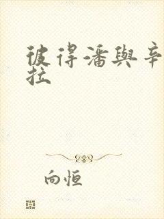 彼得潘与辛德瑞拉封面