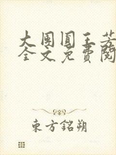 大团圆王芳高敏全文免费阅读封面