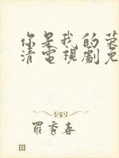 你是我的荣耀高清电视剧免费观看