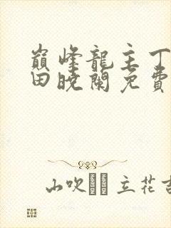 巅峰龙主丁长顺田晓兰免费阅读