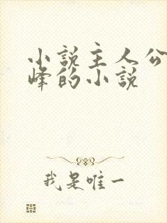 小说主人公叫林峰的小说封面