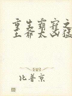 重生霸宠之摄政王爷太凶猛