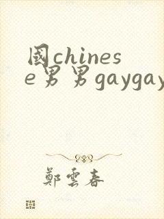 国chinese男男gaygay网站