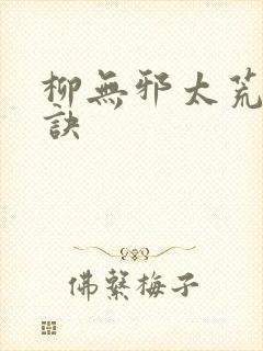 柳无邪太荒吞天诀封面