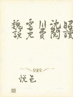 魏云川沈昭禾小说免费阅读笔趣阁