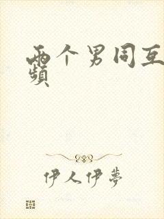 两个男同互操视频