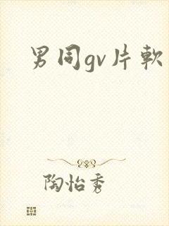 男同gv片软件
