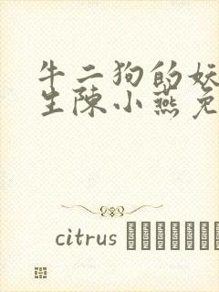 牛二狗的妖孽人生陈小燕免费阅读