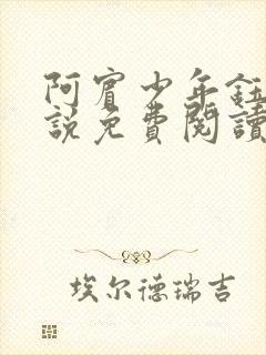 阿宾少年钰慧小说免费阅读笔趣阁封面