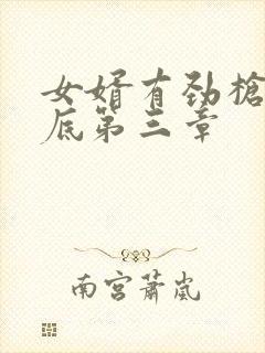 女婿有劲枪枪到底第三章