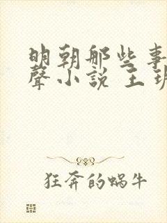 明朝那些事儿有声小说 王玥波