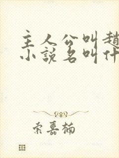 主人公叫赵旭的小说名叫什么封面