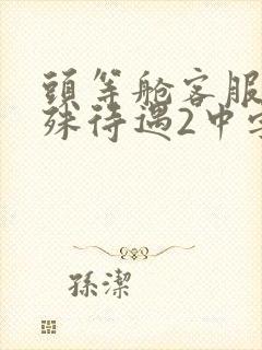 头等舱客服的特殊待遇2中字封面