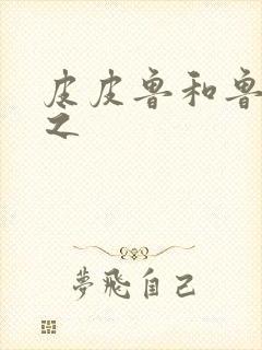 皮皮鲁和鲁西西之封面