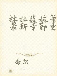 林北苏婉笔趣阁最新章节更新内容封面