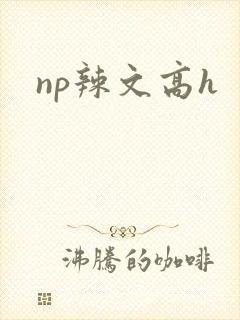 np辣文高h