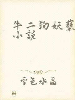 牛二狗妖孽人生小说