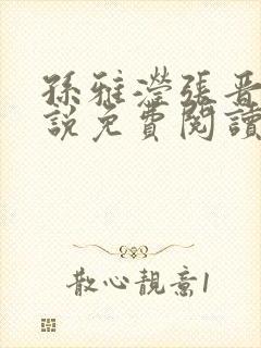 孙雅滢张晋的小说免费阅读无弹窗