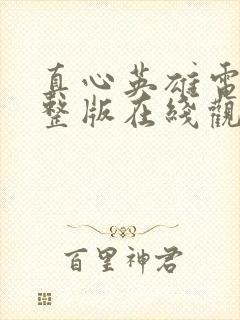 真心英雄电影完整版在线观看免费封面