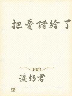 把爱错给了你