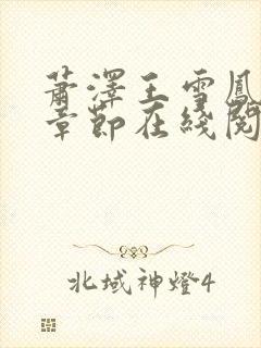 萧泽王雪凤全部章节在线阅读小说封面