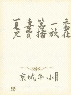 夏妻第一季全集免费播放在线观看中封面