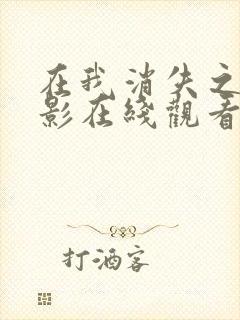 在我消失之前电影在线观看免费播放封面