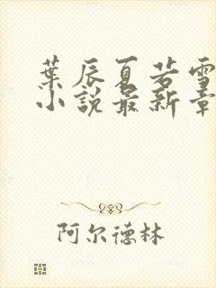 叶辰夏若雪孙怡小说最新章节