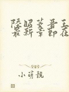 陆昭菱晋王小说最新章节在线阅读