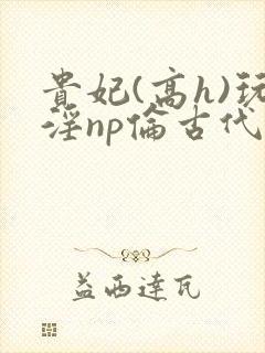 贵妃(高h)玩淫np伦古代