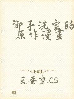 御手洗家的事情 原作漫画