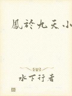凤于九天小说