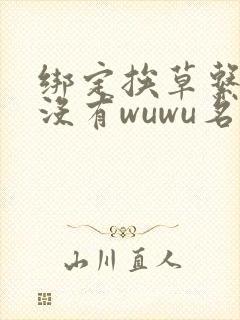 绑定挨草系统后没有wuwu名字封面