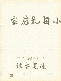 家庭乱日小说