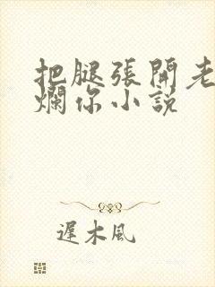 把腿张开老子臊烂你小说封面