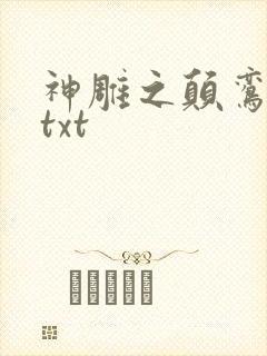神雕之颠鸾倒凤txt封面