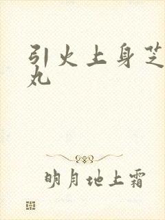 引火上身芝麻糖丸