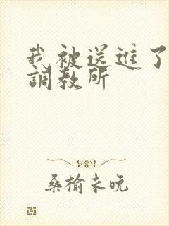 我被送进了私奴调教所