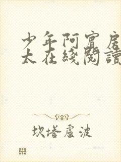 少年阿宾房东太太在线阅读