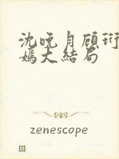 沈晚月顾珩林清嫣大结局封面