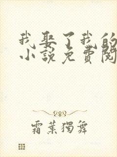 我娶了我的妈妈小说免费阅读